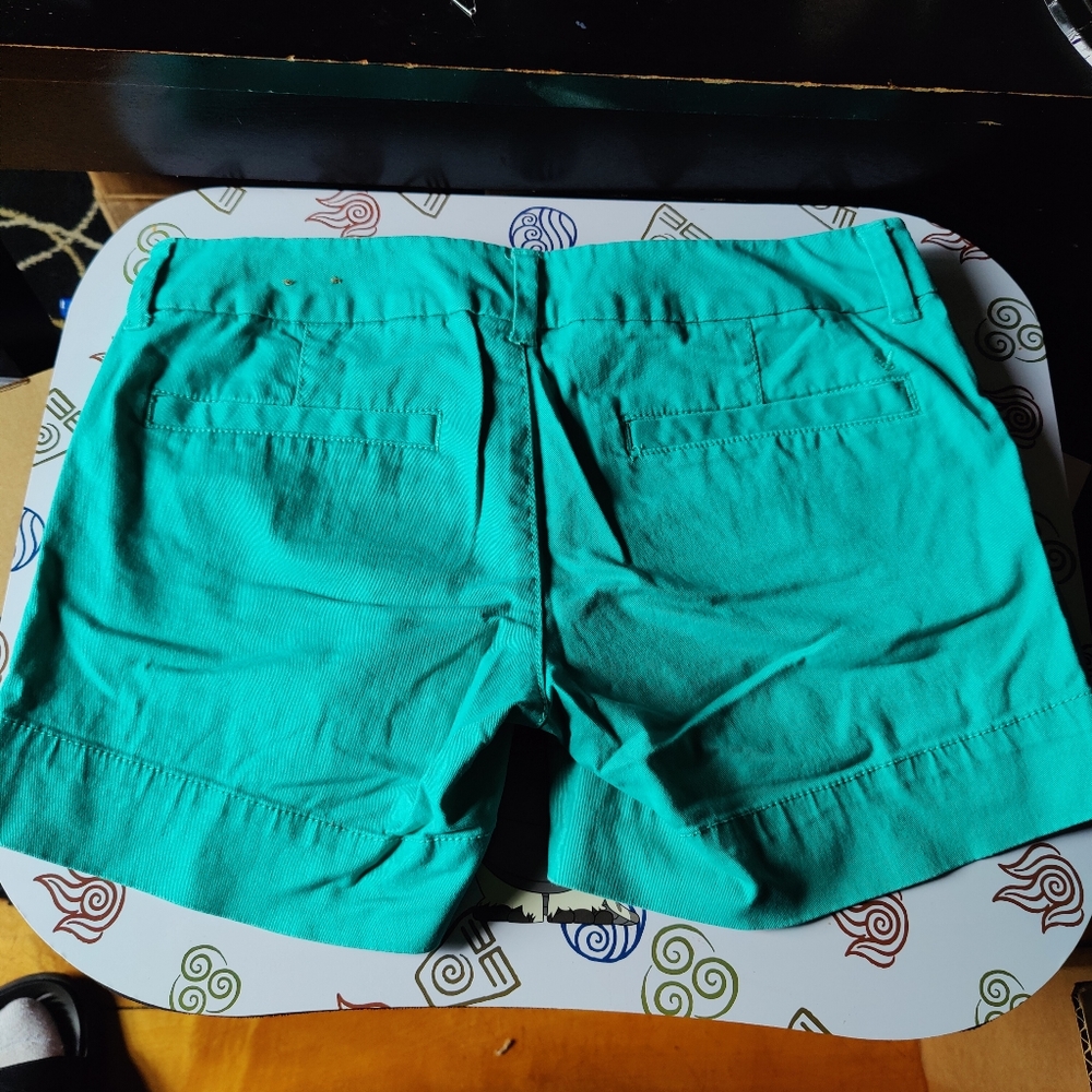American Eagle Shorts - Picture 2 of 4